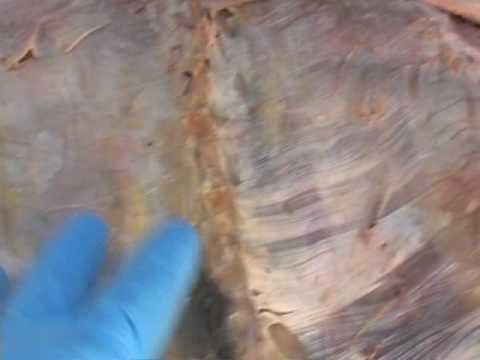 YouTube Preview Image